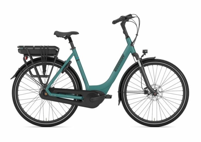 Gazelle Paris C7+ Thyme Green Mat DAMES