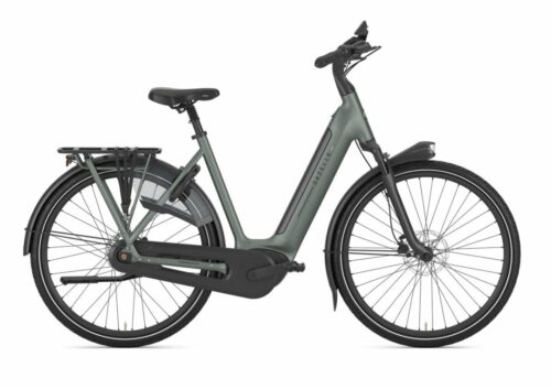 Gazelle Grenoble C8+ Twilight Green Mat DAMES