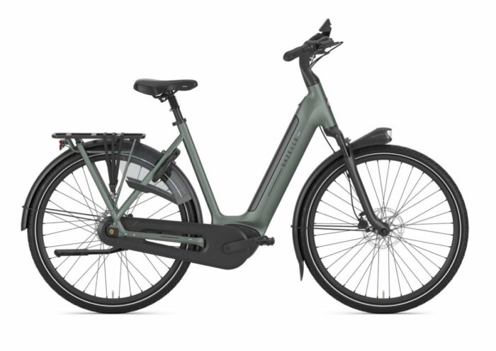 Gazelle Grenoble C8+ Twilight Green Mat DAMES